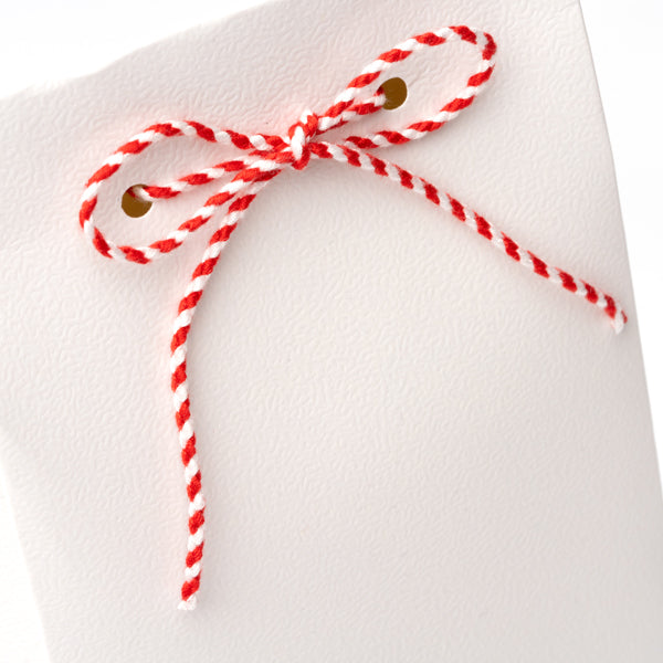 SET NATALE FRIZER 1831